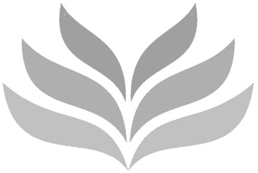 easyCIRS Logo